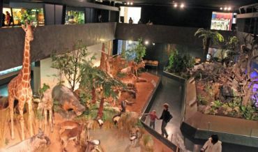 Музей естественной истории в Женеве  